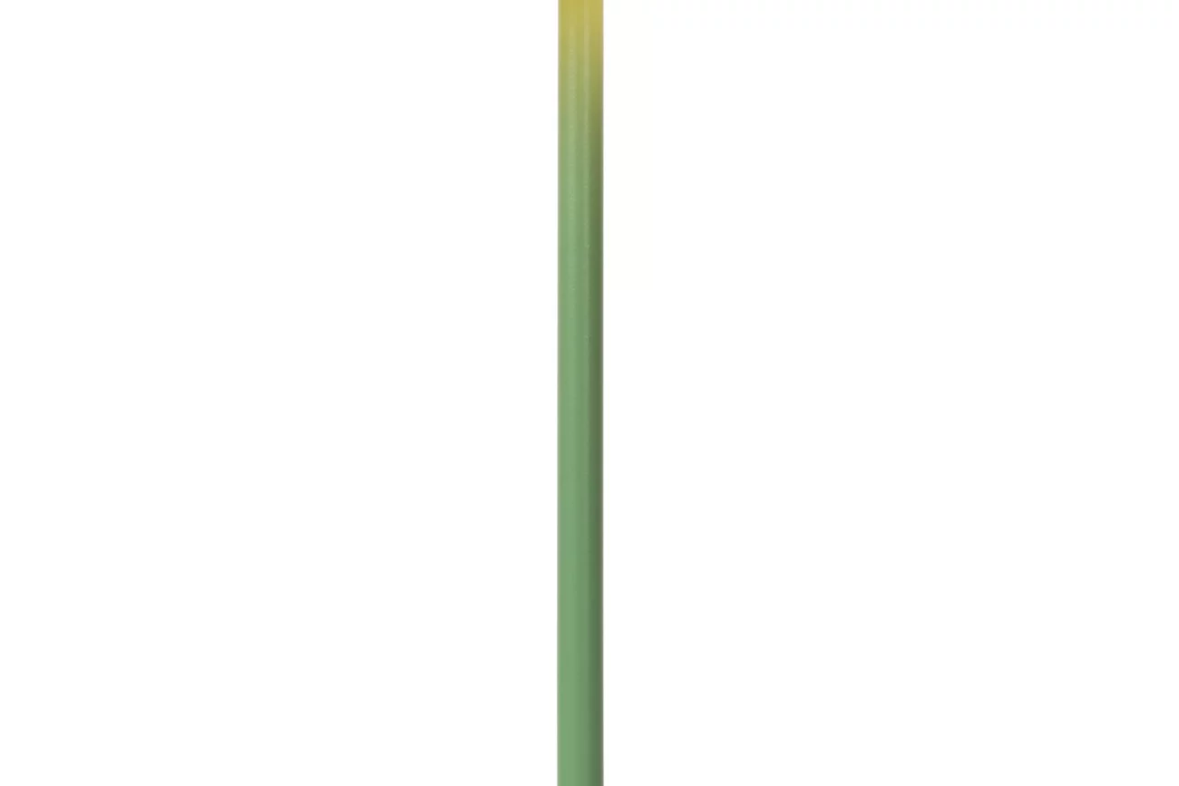 joy-oplaadbarelamp-groen